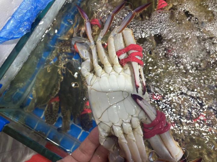 微信图片_20230731175525.jpg