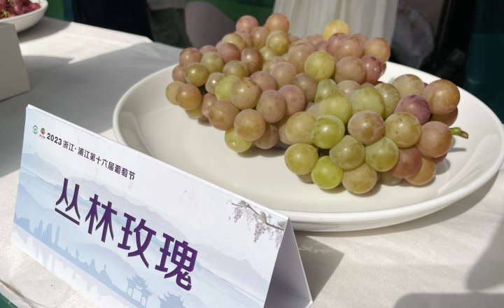 微信图片_20230804163758.jpg
