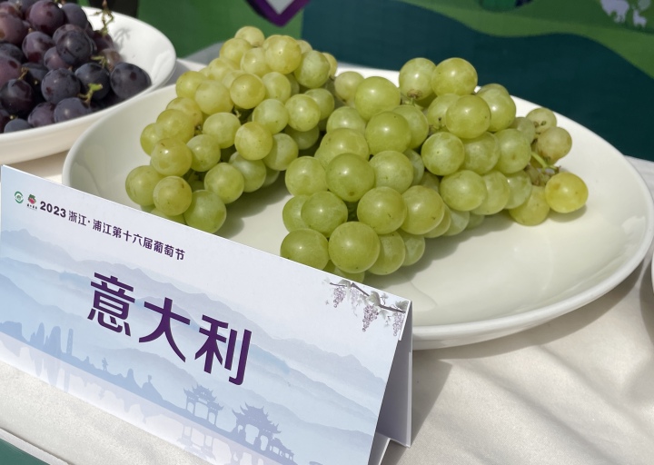 微信图片_20230804163806.jpg