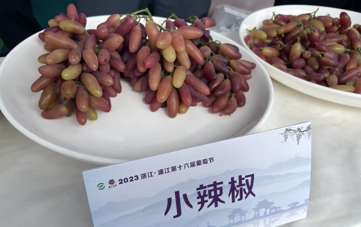 微信图片_20230804163809.jpg