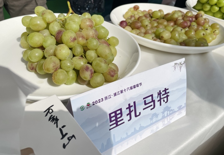 微信图片_20230804163814.jpg