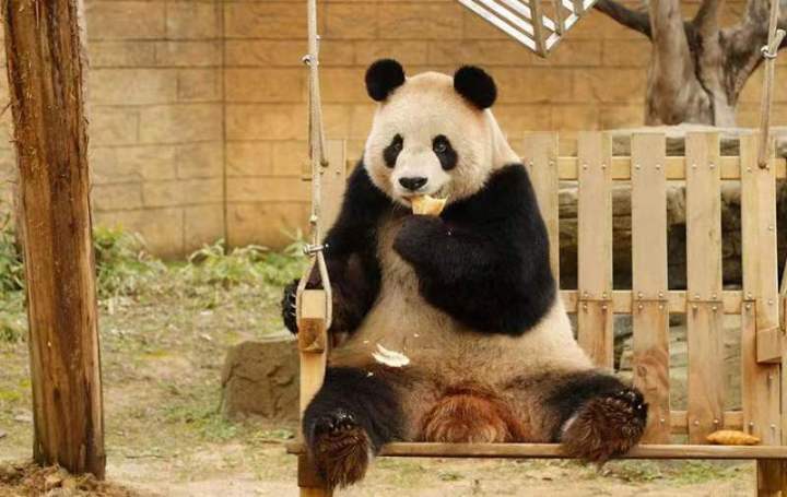 微信图片_20230809141151.jpg
