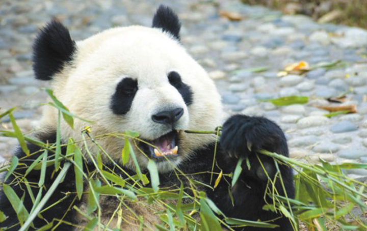 微信截图_20230809140526.png