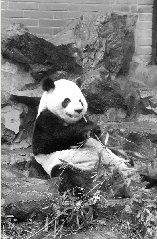 微信图片_20230809152201.png