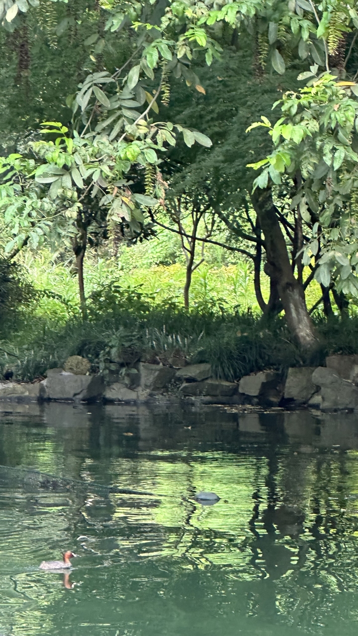 微信图片_20230809180737.jpg