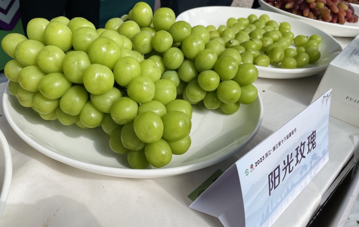 微信图片_20230810161843.jpg