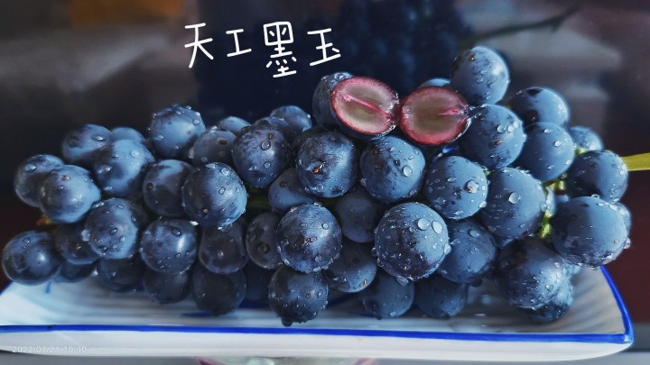 微信图片_20230810160730.jpg