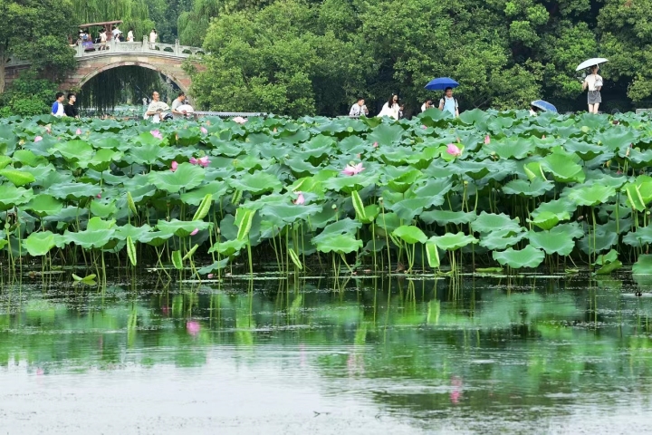 微信图片_20230810190109.jpg