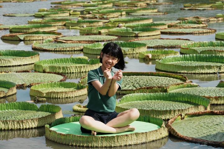 莲花人.jpg