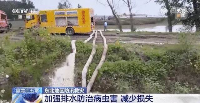 图源：央视新闻.webp