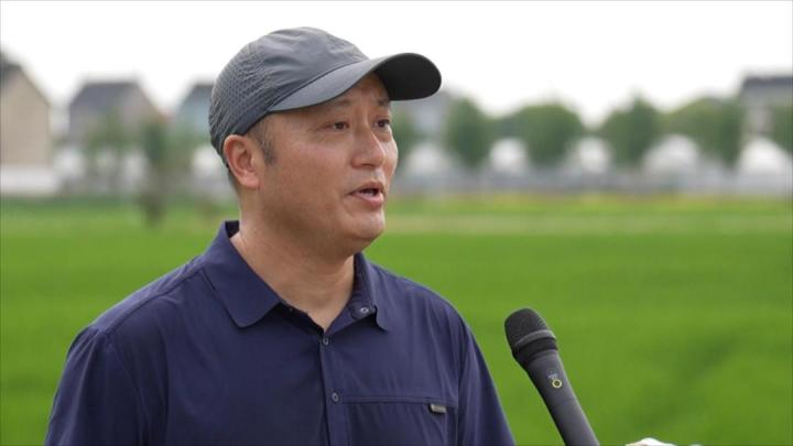 0815平湖：生态环境蝶变跃升_MPEG.mpg_20230817_111142055.jpg