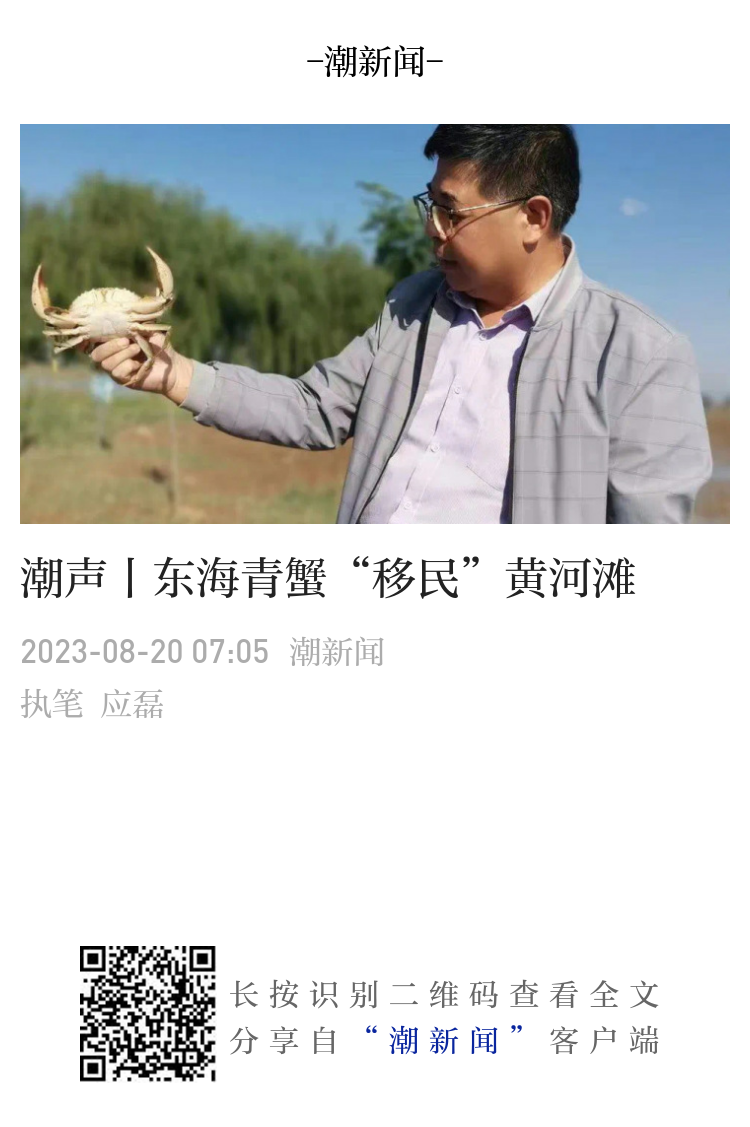 潮声丨CDO来了！看浙江制造业如何玩转大数据