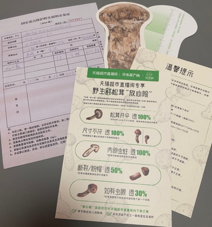 “断头”赔一半“开伞”赔全部!鲜松茸“持证”上架,还自带“放心险”
