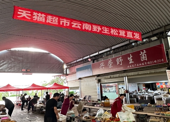 “断头”赔一半“开伞”赔全部!鲜松茸“持证”上架,还自带“放心险”