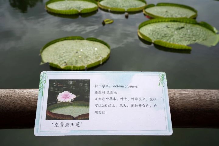 微信图片_20230829191306_3.jpg