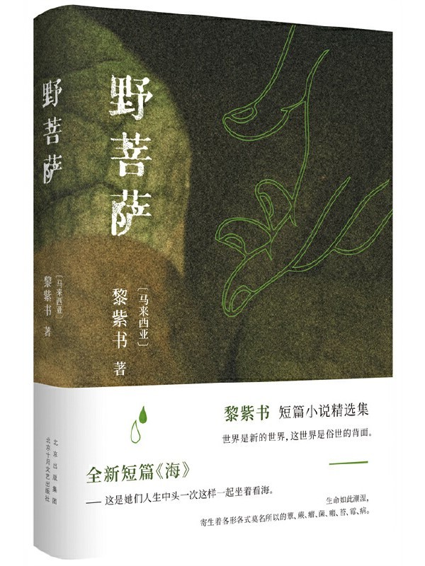 《野菩萨》.jpg