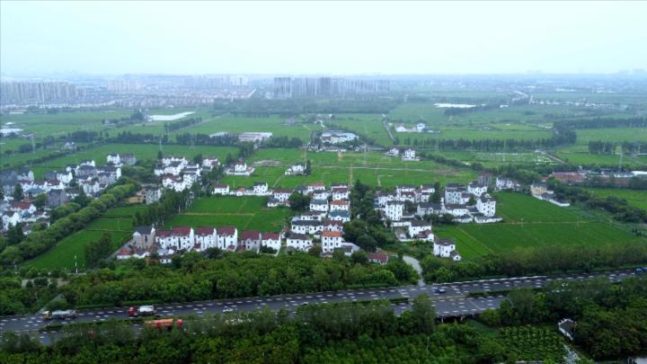刘庄村一景。潮新闻记者俞刘东摄.jpg