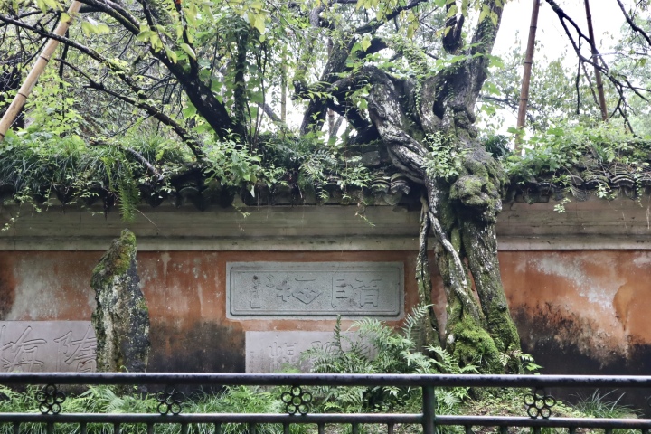 国清6.jpg