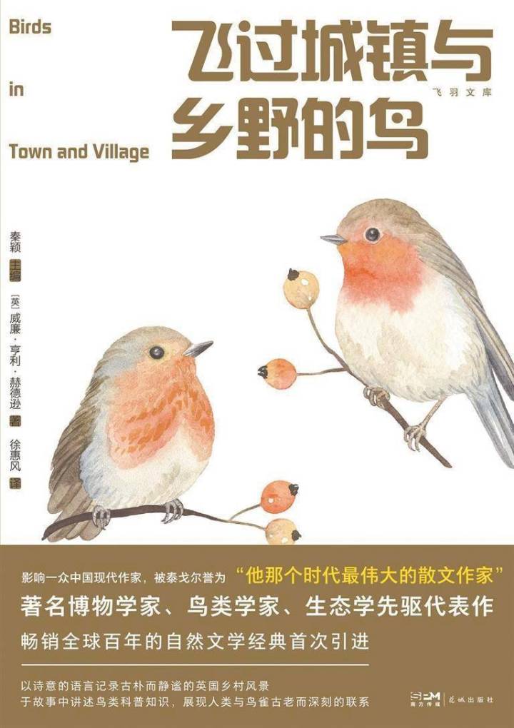飞过城镇的鸟.jpeg