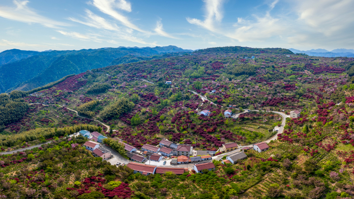 VCG211331735740.jpg