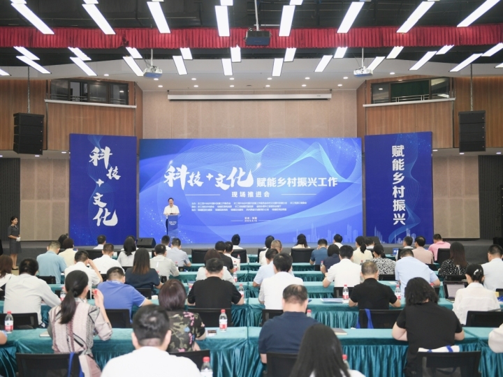 “科技+文化”如何赋能乡村振兴，钱塘找到发力点