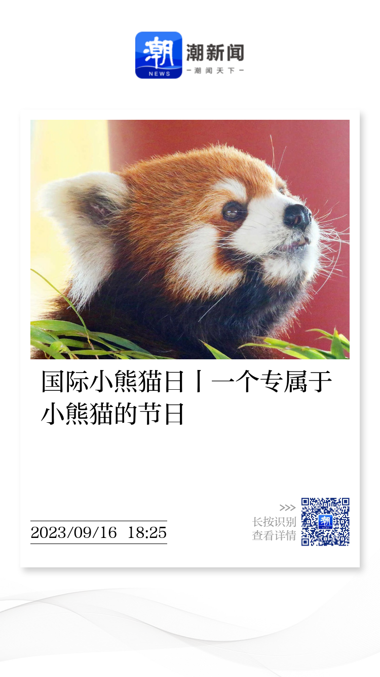 小熊猫 小熊猫属- 维基百科，自由的百科全书