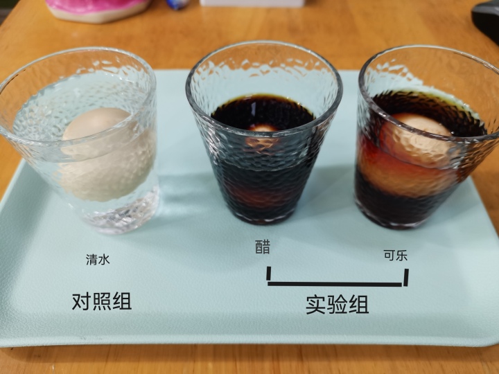 认识牙齿 (4).jpg