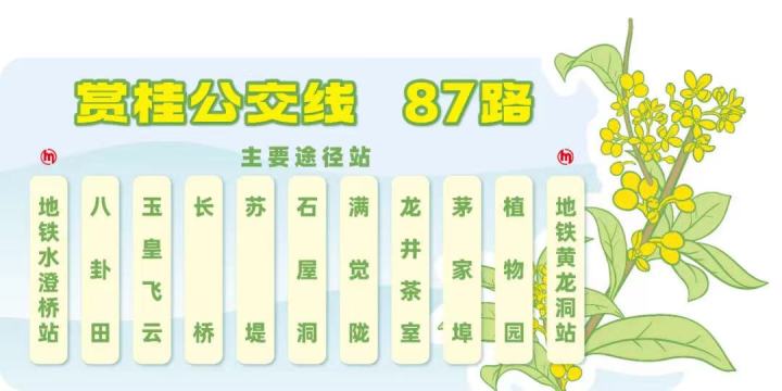 图8.jpg