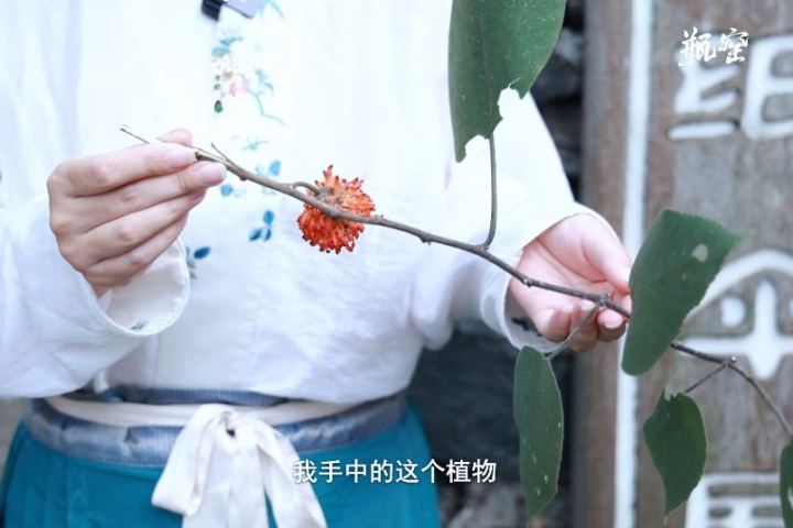 U020230929148776101160.jpg