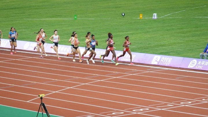DSC02860.JPG