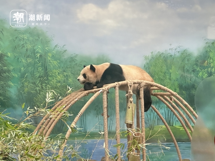 微信图片_20231011122757.jpg