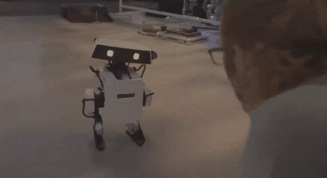 640.gif