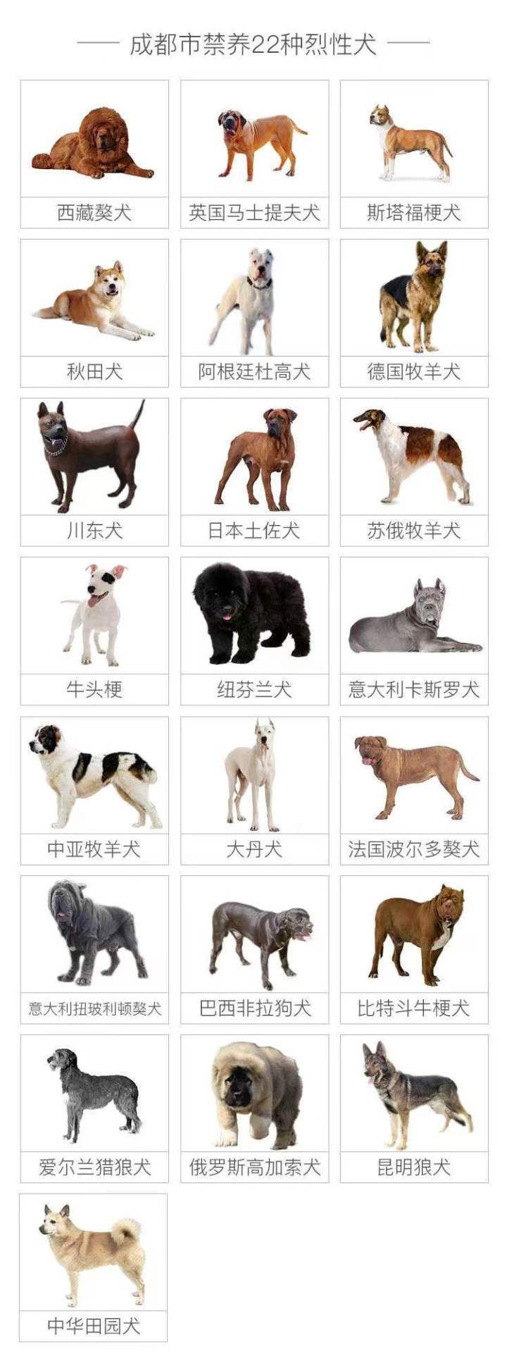 微信图片_20231017162037.jpg