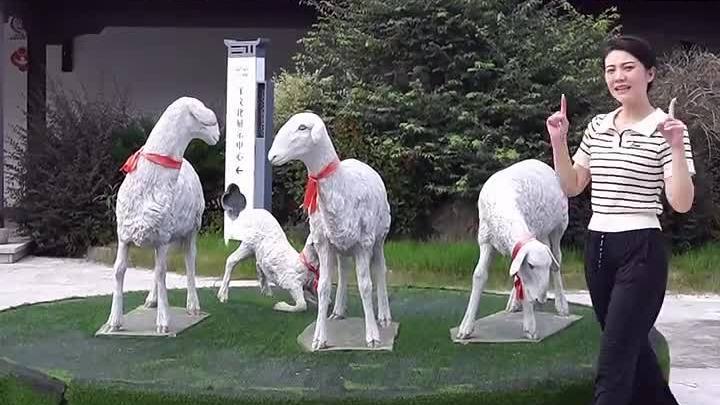 挑战打卡100种乡村产业——湖州站:智慧湖羊养殖业