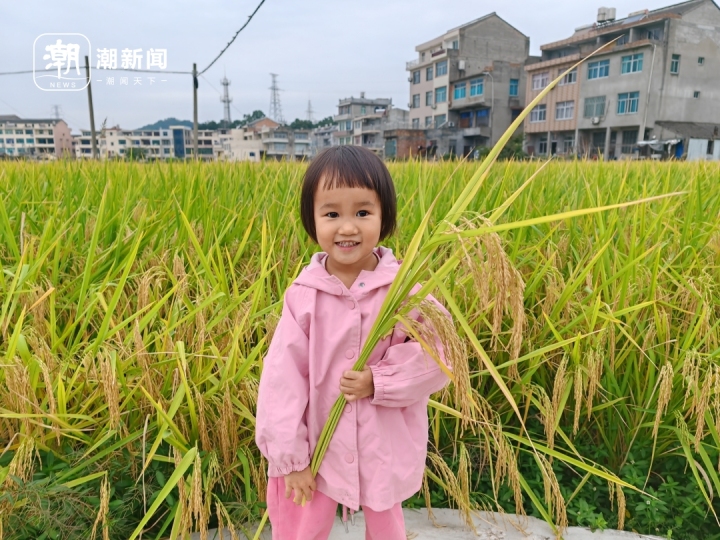 微信图片_20231019081228.jpg