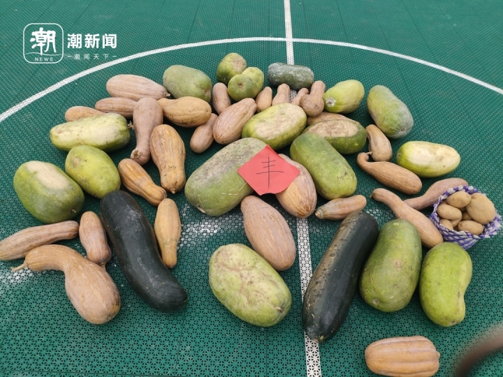 IMG20231019111552.jpg