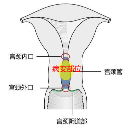 微信图片_20230915165603_1.png