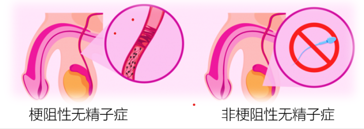 微信图片_20231024150737.png