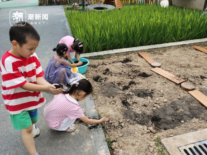 埋肥料.jpg