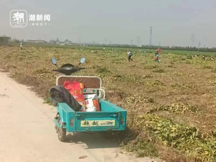 微信图片_20231031183756.jpg