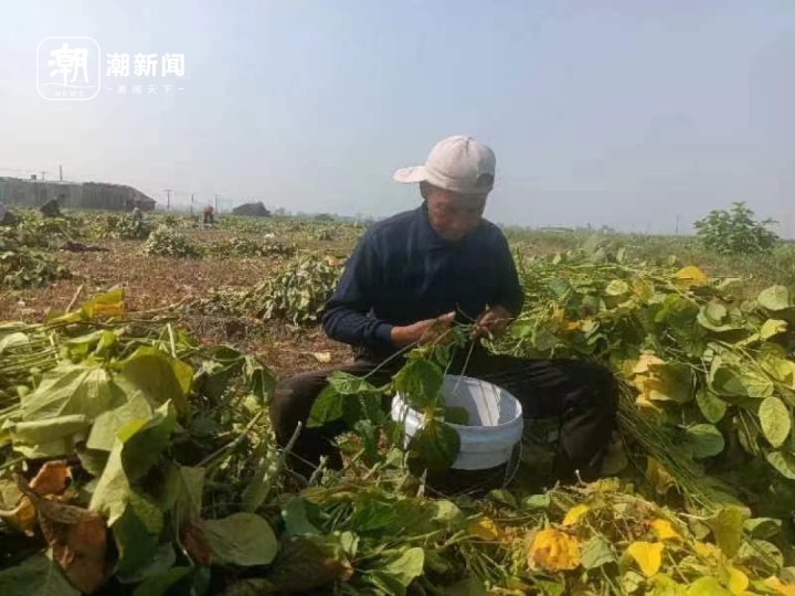 微信图片_20231031183810.jpg
