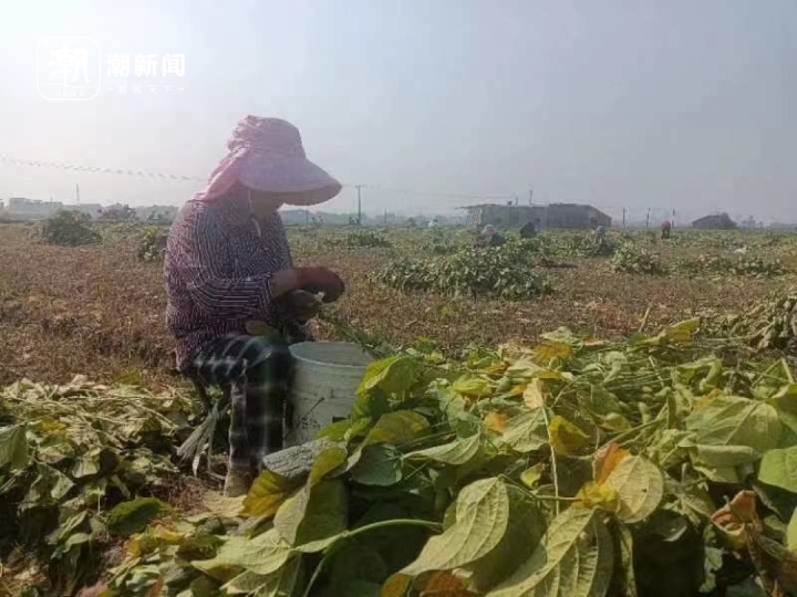 微信图片_20231031183813.jpg