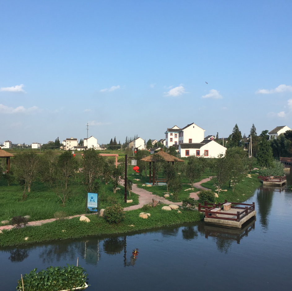 嘉礼堂拍客秀爱心量血压广陈镇高新村